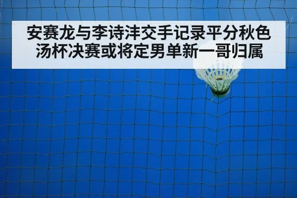 badminton net shot